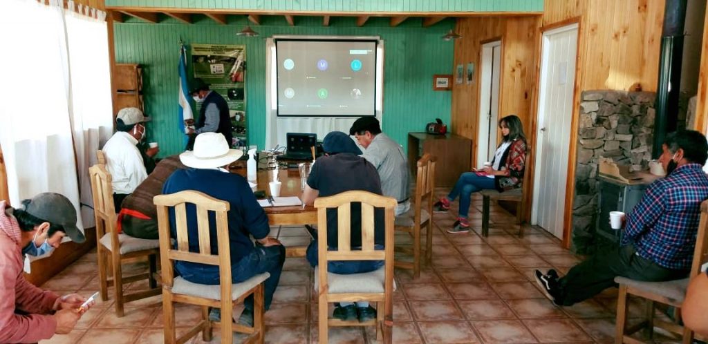 COMERCIALIZACIÓN DE LANA A PRODUCTORES DEL DEPARTAMENTO ALUMINÉ