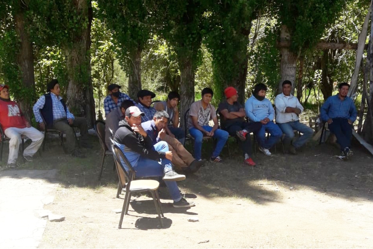 Se retomaron los trabajos de la segunda poda forestal