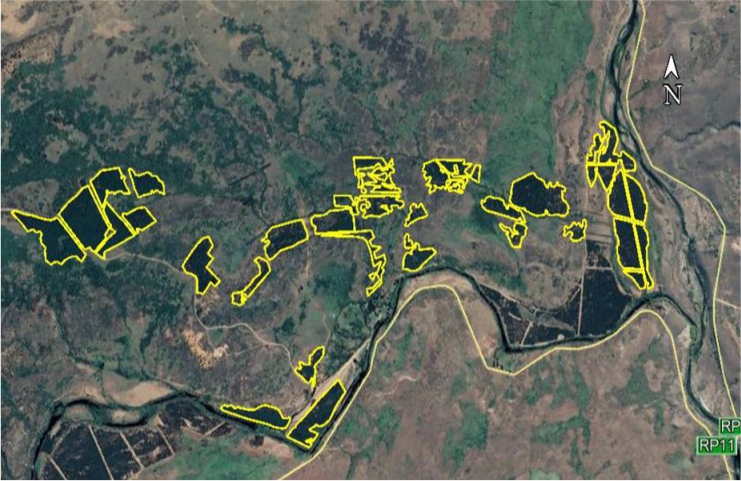 Se retomaron los trabajos de la segunda poda forestal