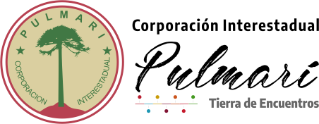 Corporación Interestadual Pulmarí logo