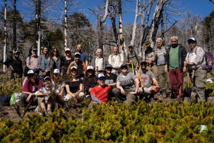 La CIP participó de las actividades organizadas por el Parque Nacional Lanín por el “Día de la Conciencia Ambiental”